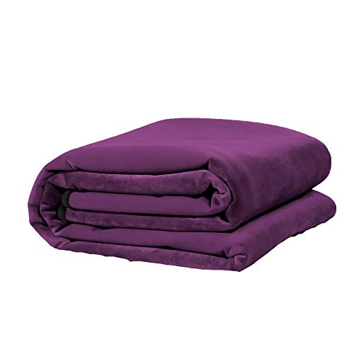 Avana Waterproof Throw Blanket | Protector For People And Pets | Leak Proof Moisture Barrier - Small Size, Micro-Velvet Purple #TOP3