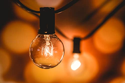 Sfeg G40 String Lights - 5W Warm Incandescent Shatterproof Glass Bulbs, 18-Gauge Wire - Dimmable Globe String Lights For Backyard, Patio, Porch, Garden - Decorative Outdoor Hanging Lights - 25Ft #TOP1