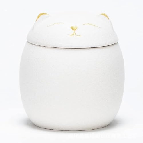 REENEW   K^ȔL   Z~bN Vv e @\ hۑ ̗tAَqAAȂǓ  Lb`pi p ƒp HX Ɩp e v[g (B,S)