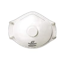 Gateway Safety 80302V TruAir Vented N95 Particulate Respirator Pack of 10, White
