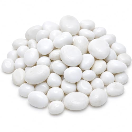 Image of Bindian Decorative Pebble Stone, Multicolour, Natural Stone, Smooth & Polished, for Aquarium, Garden, Plant Pot, Fountain Decor (2 Kg, White)