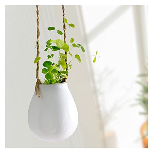 maozi Jarrón cerámico plantador Terrario Mesa de Escritorio Hidropónica Planta Bonsai Flor Pot Potes Colgantes con Bandeja Decoración for el hogar