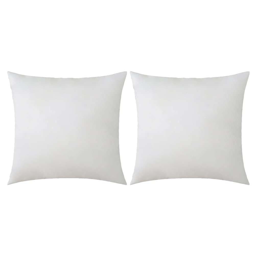 Inserto per Cuscini Tessuto Non Tessuto, Design Semplice 2 Pezzi Riempimento in Cotone Pp Morbido e Pratico Colore Bianco per Casa e Ufficio