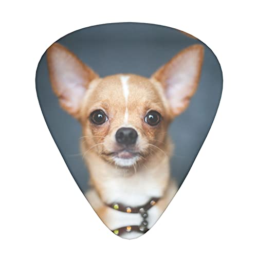 Ensemble de 12 médiators de guitare Chihuahua mignons pour guitare acoustique, guitare électrique, contrebasse, ukulélé - Les Beatles, Paul McCartney, John Lennon, RIngo Starr, George Harrison Ensemble de 12 médiators de guitare Chihuahua mignons pour guitare acoustique, guitare électrique, contrebasse, ukulélé