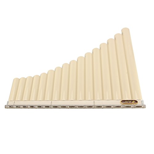 VIDOO 16 Tubo Eco Friendly Resin C Tono Pan Flauto Facile Apprendimento