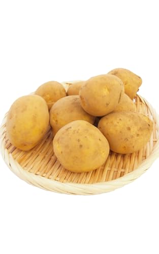 Ⴊ WKC Ƃ 10kgO _͔| ϕꂵɂWKC