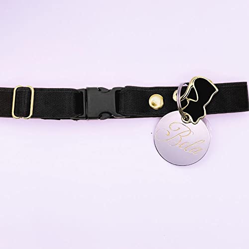 Coleira Elástica Gatos PETS e Plaqueta Identificação Nome e Telefone (Filhotes (14 cm a 24 cm))