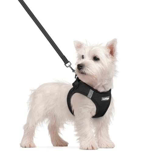 rabbitgoo Dog Harness Small Sized and Leash Set, Step in Soft Light Puppy Vest, Breathable Mesh Pet Harness, Reflective for Safe Easy Walking, Black S