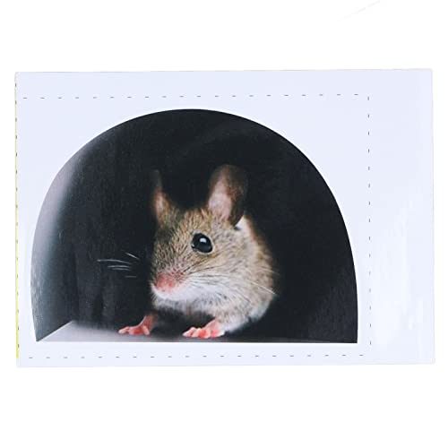 Septpenta 20 PCS 3D Mausloch, Realistischer Wandaufkleber, Realistisches Muster, PVC Material, Ungiftig, Harmlos, Maushöhlen Wandbilder für Flache Und Saubere Oberflächen, Fußleisten, Wände(zwei)