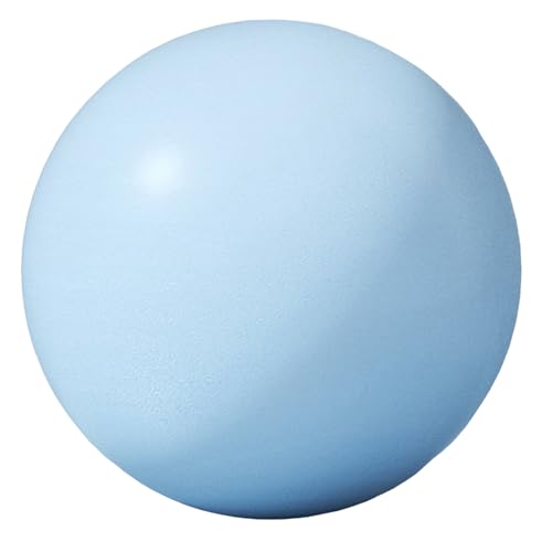 Generic seBXtBbglX 25cm ? RAg[jO oXP ^щ\ PVCf ()