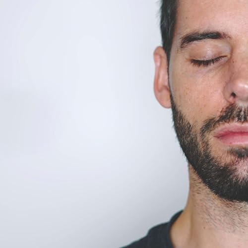 Samuel Gavil&aacute;n cover art