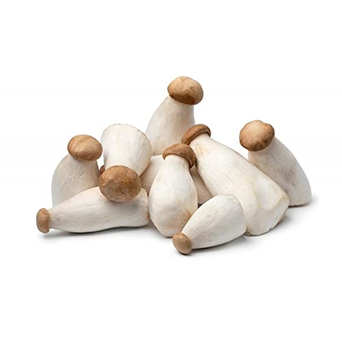 [Bundle Pack] Amae Eryngii Mushroom - Handpicked 2 x 200g
