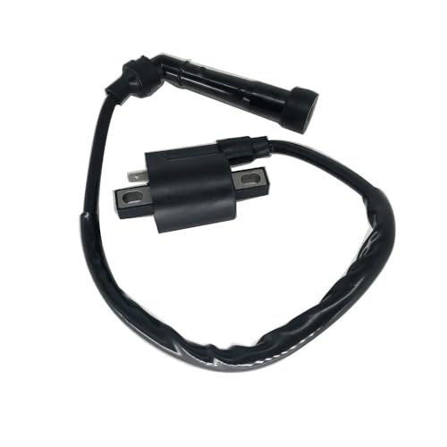 Bobina de encendido para solucionar fallos en YMH YFM660R