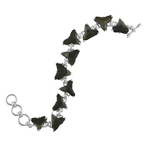 Starborn Fossil Shark Tooth Bracelet in Sterling Silver2
