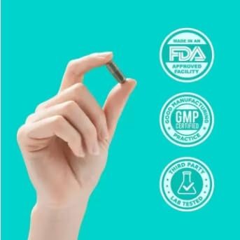 Clorofila – Desodorización de todo el cuerpo para la salud intestinal, la salud de la piel, la desintoxicación y el apoyo digestivo – Control natural del olor