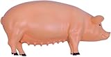 Zoom IMG-1 modello anatomico di maiale con Zoom IMG-1 modello anatomico di maiale con