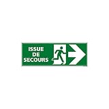 Panneau Photoluminescent - Issue de Secours Flèches vers La Droite - Dimensions 350 x 125 mm - PVC - Protection Anti-UV