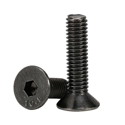 3 個 M5 M6 M8 炭素鋼皿頭六角ソケット 10.9グレード ブラックニッケル フラットヘッド六角ソケット(10mm,M5-10pcs)