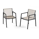 ZANDOR Outdoor Patio Dining Chairs Set of 2,Aluminum Patio Dining Chairs with Armrests, All-Weather Furniture for Lawn,Garden,Yard, Poolside and Indoor,Grey