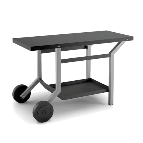 TABLE ROULANTE ACIER NOIR ET GRIS CLAIR L1191XP648XH760MM
