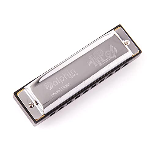 Gaita Pocket Blues Dolphin 6406, 20 Vozes Do Abs