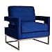 HomeRoots Stylish Blue Velvet and Gold Steel Chair