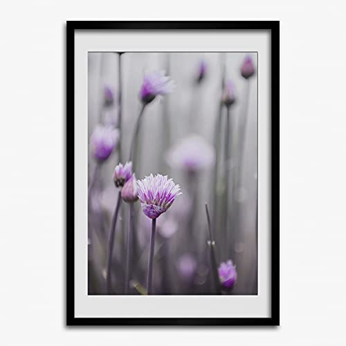 Tableau Moderne Fleurs de ciboulette 50x70 cm avec cadre en bois MDF Tulup pour affiche