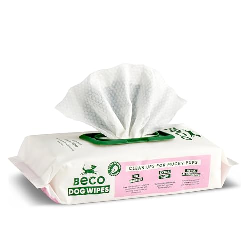 Beco Dog Wipes - 1 Pack of 80, Coconut Scented, For Paws, Body and Bum, Plant-Based Grooming Wipes