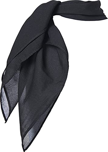 Hip Hop 50'S Shop UNKNOWN 1950S Toddler 3 Piece Poodle Skirt Outfit thumb #2