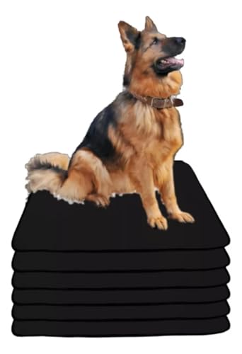 Kit 6 Tapetes Higiênico Laváveis Super Absorção 200 Lavagens 80x60 (Preto)