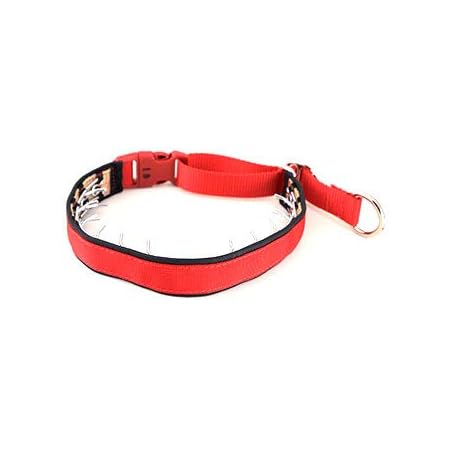 keeper prong collar