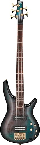 Ibanez 5弦ベース SR405FM Amazon | Ibanez SR405EPBDX TSU 5弦ベース アイバニーズ | エレキ