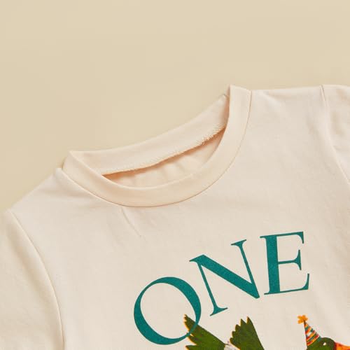 Baby Boy Girl First Birthday Outfit Short Sleeve Bubble Romper Crewneck Shirt Bodysuit Tops Cute Birthday Clothes3