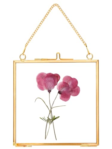 REDHUGO Glass Pressed Flower Frames,Vintage Hanging Picture Frames with Chain,Handmade Brass Floating Picture Frame,Plant Specimen Wall Ornament Display Artwork DIY Family Photo,Square,Gold