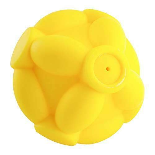 THE DDS STORE Squeaky Dog Toy, Water Fetch Toy, Floating Swimming Dog Toy for Large Hydrangea - 4 inches, Suitable for Medium Large Dogs (B08R6DC7HX) Amazon Price History, Amazon Price Tracker