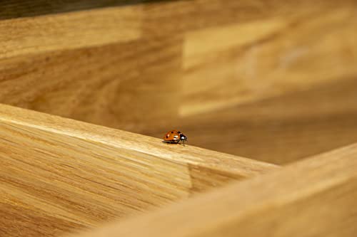 dobar® 29140FSCe XXL Premium Pflanztisch aus robustem Eichenholz | Gärtnertisch mit verzinkter Arbeitsfläche und Ablage | Wetterfester Outdoor Umtopftisch | 117 x 62 x 124 cm | Natur