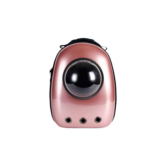 Kiwet L[obO bN LL[ bN FD JvZ y ^p hCu LsO s ʉ@ ЊQ p (13)