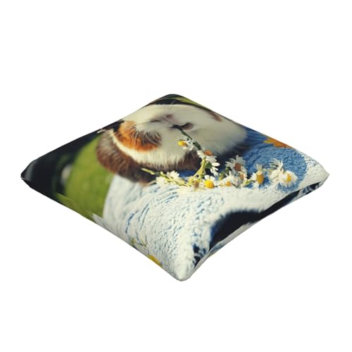 Coussin cochon d'inde lavable pour chambre d'enfant propre - 3