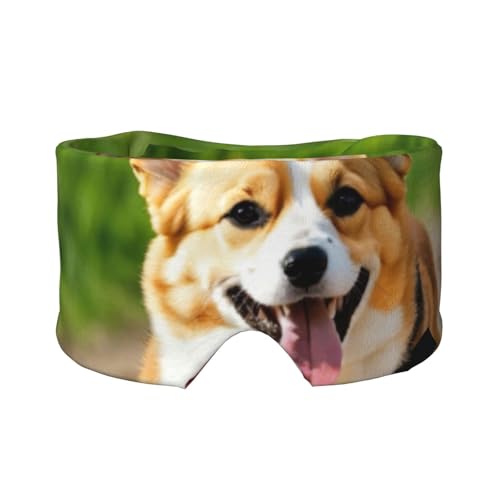 킢R[M[vgX[v}XNA_炩ɗDACJo[As/K̂QpՌX[sO}XN