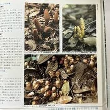 野の植物誌 野の植物誌 野の植物誌 (山渓カラー名鑑) (山溪カラー名鑑)