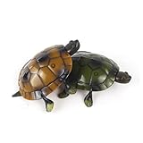 Tortue - le fond est équipé d'une roue, le tortue peut se déplacer comme une vraie tortue, d'éducation précoce