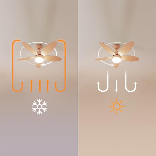 Cecotec - Ventilateur de Plafond avec Lumière EnergySilence Aero 4260 Full Orange - 40 W, Diamètre 106 cm, Lampe Intégrée, Télécommande, Minuterie 8 Heures, 6 Vitesses, 5 Pales, Été/Hiver