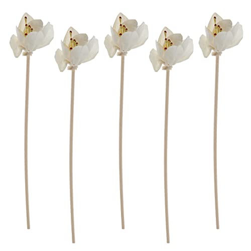 FUNOMOCYA Varillas de Ratán para de Aromas 5 Pcs Palitos Aromáticos Decorativos para Aceites Esenciales Absorción Rápida Aromaterapia Decoración de Interiores