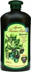Shampoo Birch Buds and Burdock Oil for Dry and Normal Hair, 600 Ml (World Best Recepies)