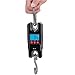 Kofferwaage Digital Balance Fishing Waage elektronischer Maßstab 300kg Schwerer hängender Edelstahl-Hakenskala Abs Kofferwaage Gepäckwaagen (Farbe : Black, Size : One Size)