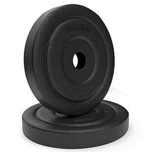 Gallant Weight Plates – 10kg Standard 1 Inch Vinyl Weights Discs 20kg 40kg 60kg 80kg 100kg Set For Men Women – Weight Plate Set for Lifting Dumbbells Barbell Home Gym Fitness Training Equipment