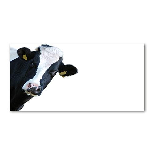 Splashback guard 140x70cm en verre de sécurité imprimé animaux noir et blanc