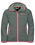 Jack Wolfskin Unisex Kinder Fourwinds Jacket Kids, Hedge Green, 104