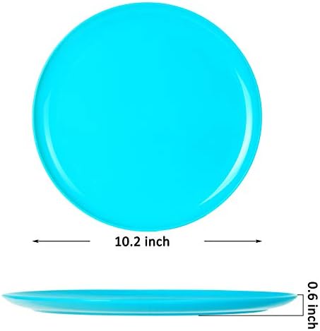 Youngever 9 Pack 25cm Re-usable Plastic Plates, Large Plates, Dinner Plates, Set of 9 (9 Rainbow Colors)