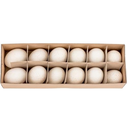 NaDeco Truthahneier Natur 12 Stück ausgeblasen & gereinigt Ostereier Ostern Osterdeko Deko Dekoration Osterdekoration Dekoeier zum basteln & bemalen Eier Truthahn-Ei Frühling Putenei Tischdeko